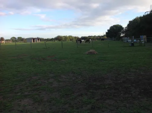 Equestrian, Riding School & Livery