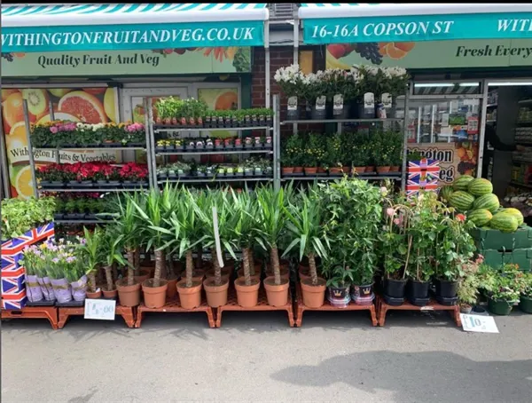 REDUCED - WORLD WIDE FOOD STORE - MANCHESTER