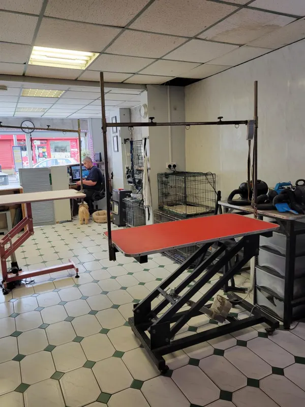 Established Dog Grooming Centre in Prime Staffordshire Location